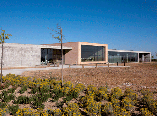 ca45_01 / Bodega Montepedroso