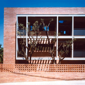 ca21_Foto_8