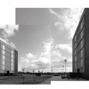 ca41_Foto_14