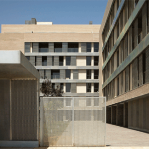 ca41_Foto_15